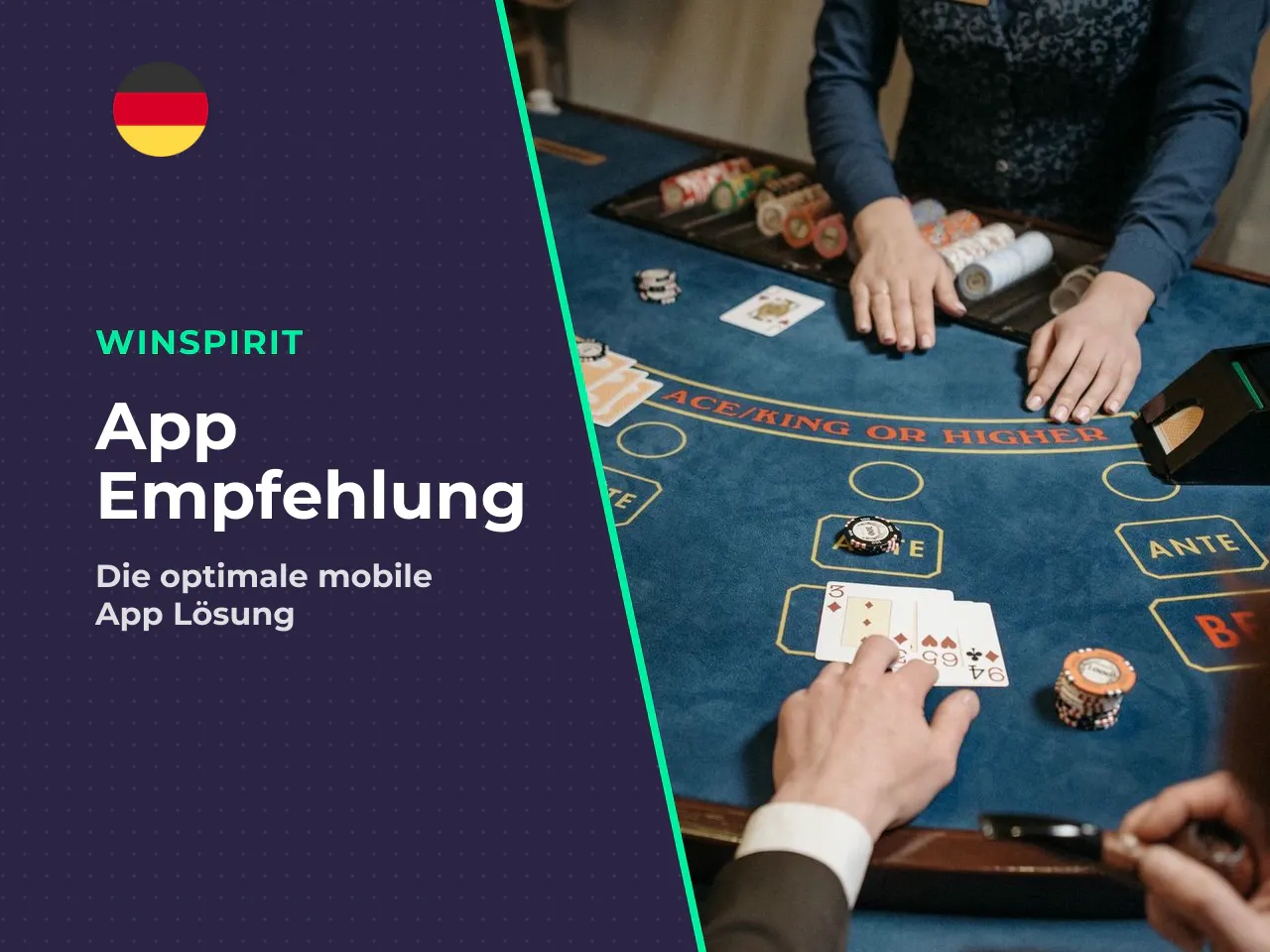 Redaktionelles Fazit und Empfehlung. Die Suche